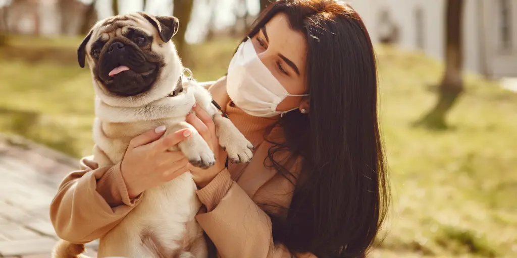 cause of canine parvovirus: a woman is hugging a pug