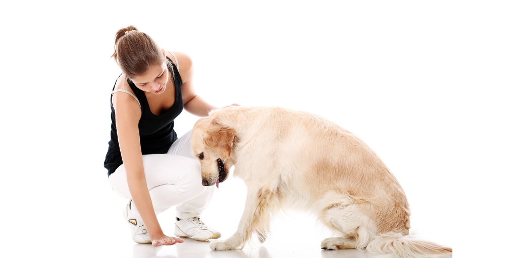 Happy woman and her beautiful dog