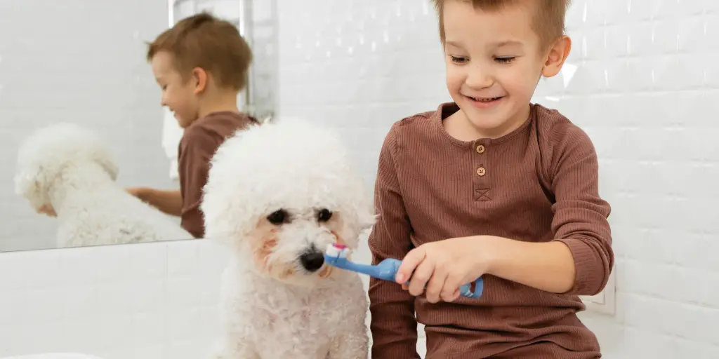 Boy helping his dog to wash his teeth at home